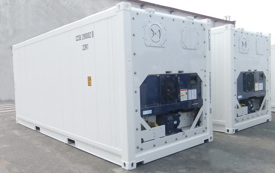 Container for refrigeration and freezing